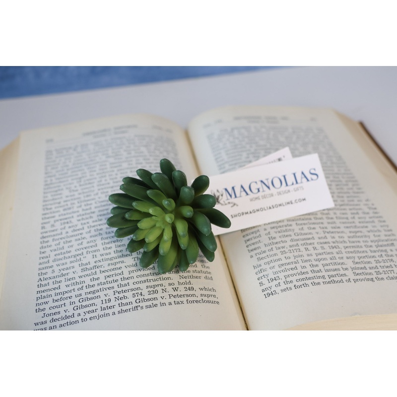 Marietta Finger Succulent