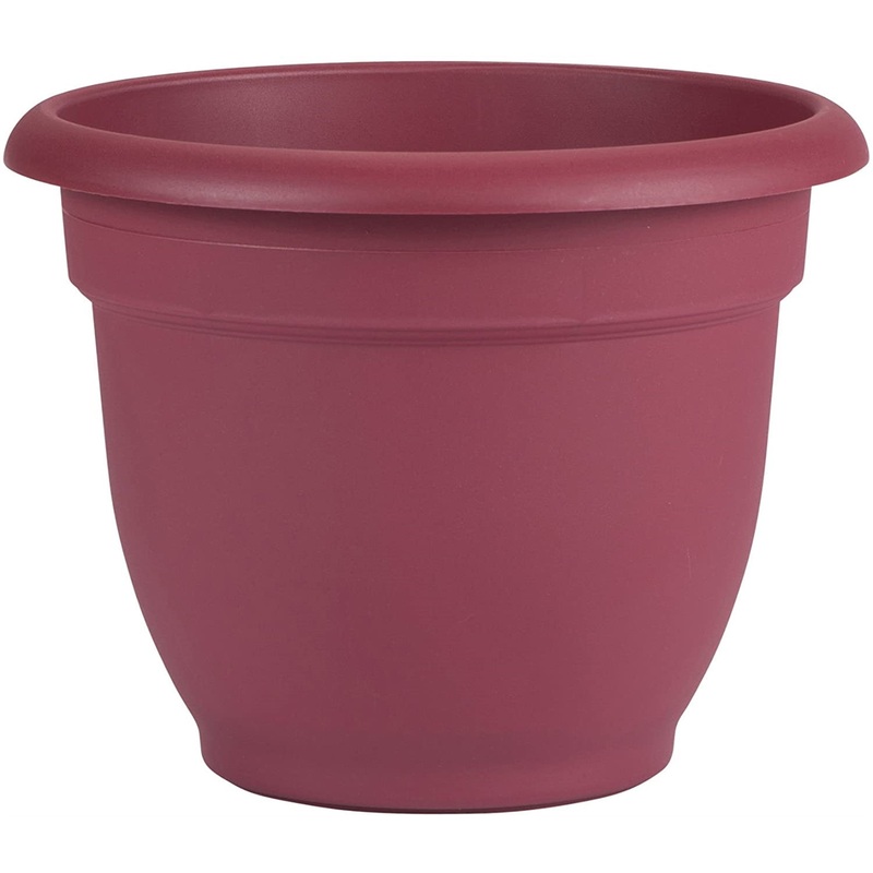 Bloem Ariana Plastic Flower Planter with Self-Watering Disk