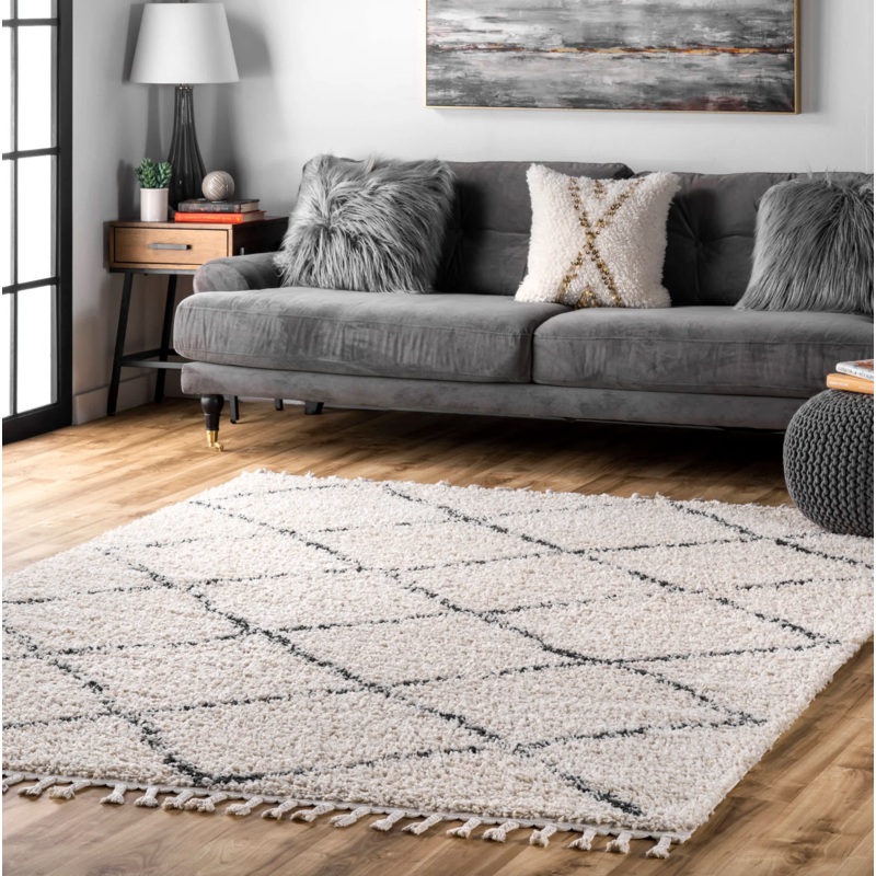 4′ x 6′ Jessie Moroccan Lattice Tassel Area Rug