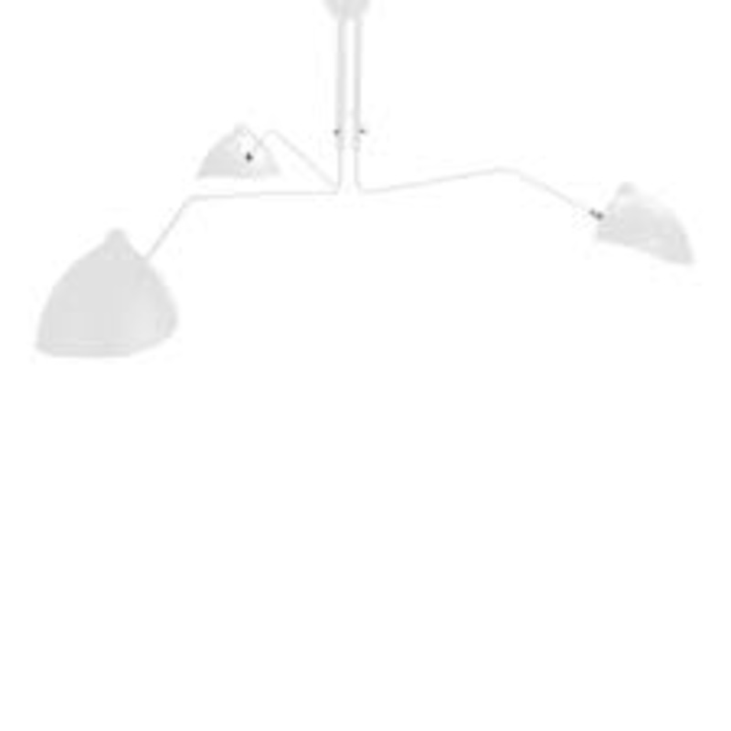Fly Trap Ceiling Mount Light