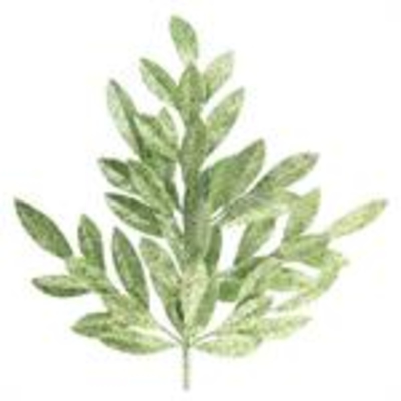 23″ Glitter Bay Leaf Branch