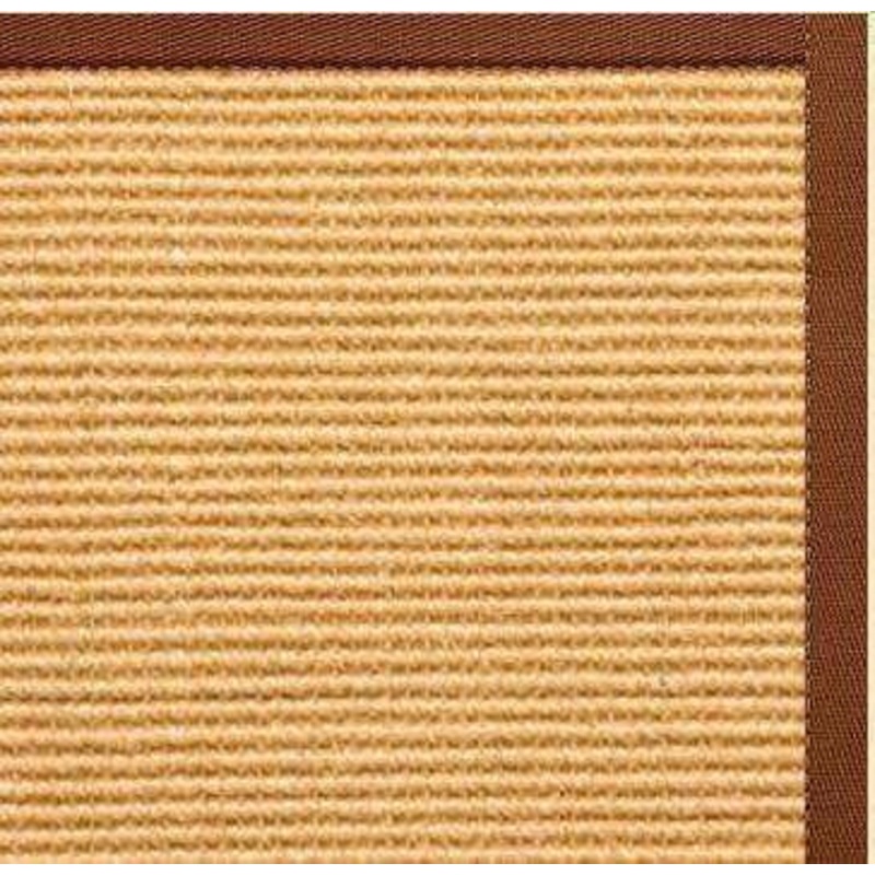 Tan Sisal Rug with Burnt Sienna Cotton Border