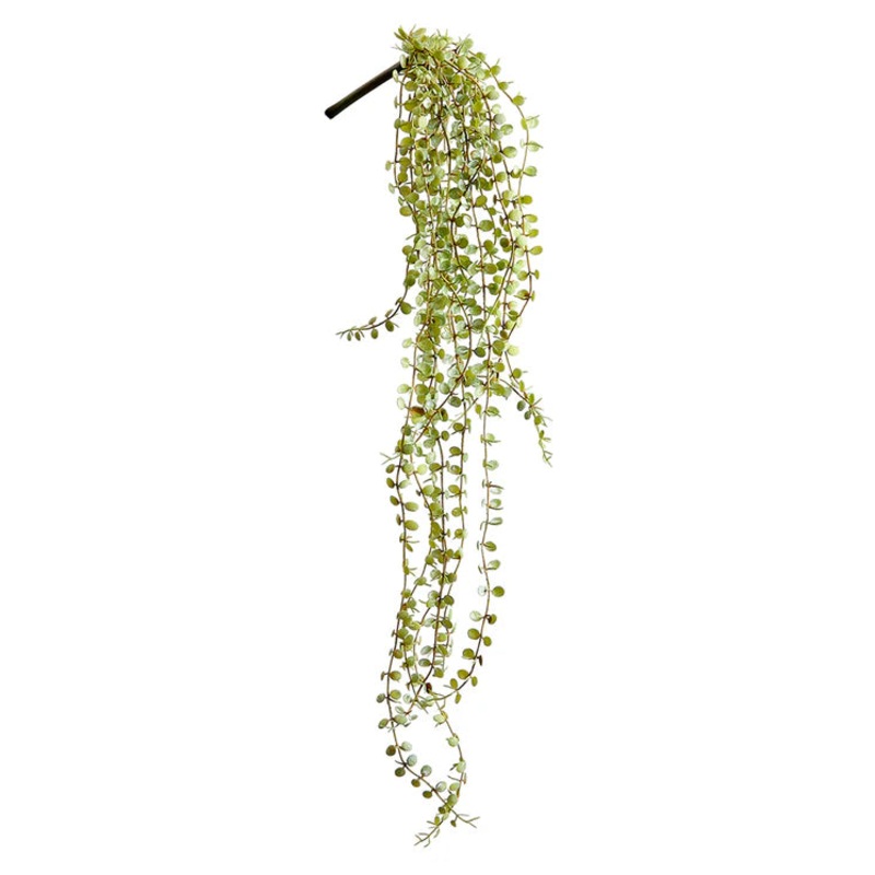 28″ Button Leaf Hanging Plant