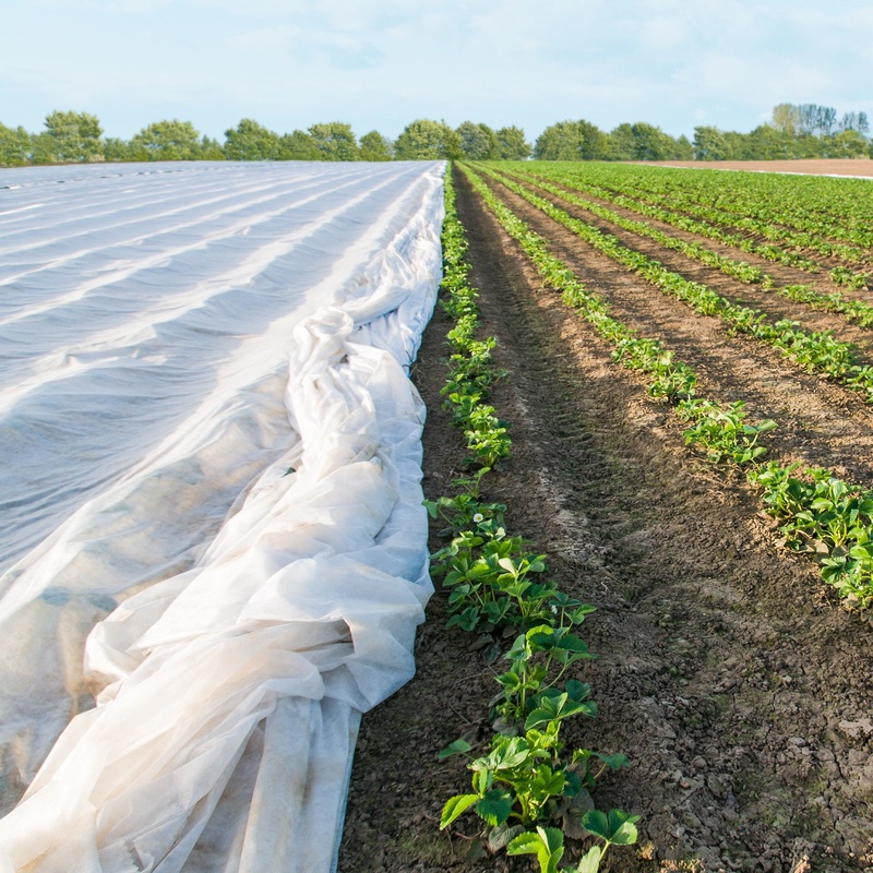 MegaGrow Bulk Row Cover 1 oz