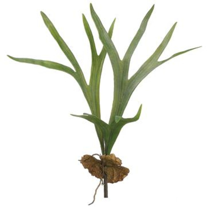 22.5″ Staghorn Plant Green