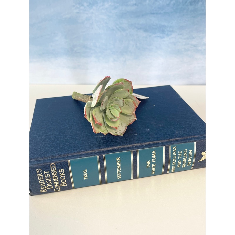 Sage & Red Echeveria Pick