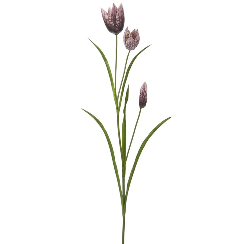 27″ Fritillaria Stem  Purple