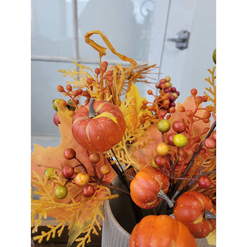 Orange Mixed Pumpkin Pick