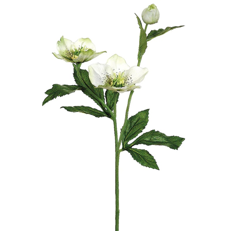 22″ Helleborus Stem – White