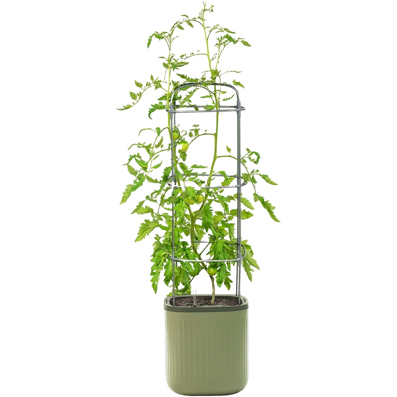 Vego Garden EZ Self-Watering Tomato Planter with Trellis