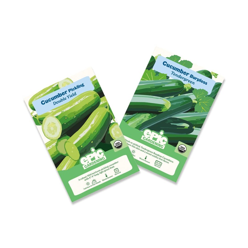 Cucumber 2-Pack