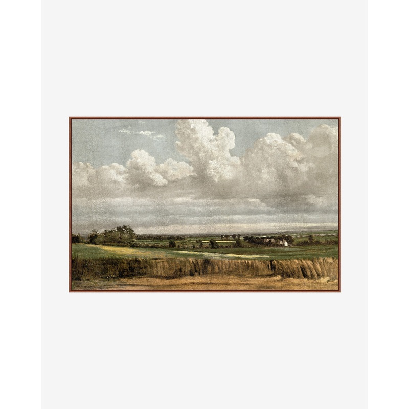 Wheatfield
