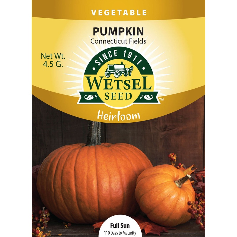 Wetsel Seed Heirloom Pumpkin Connecticut Field Seed