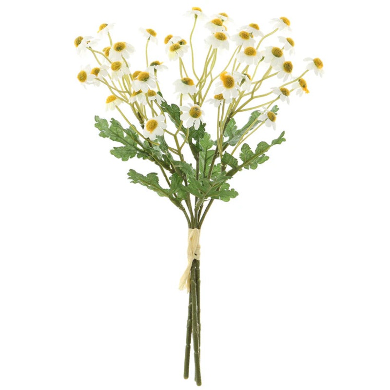 12″ Mini Daisy Bundle