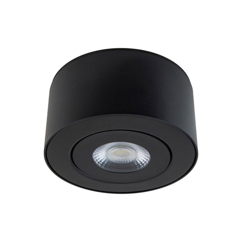 I Spy Outdoor LED Flush Mount Ceiling Light