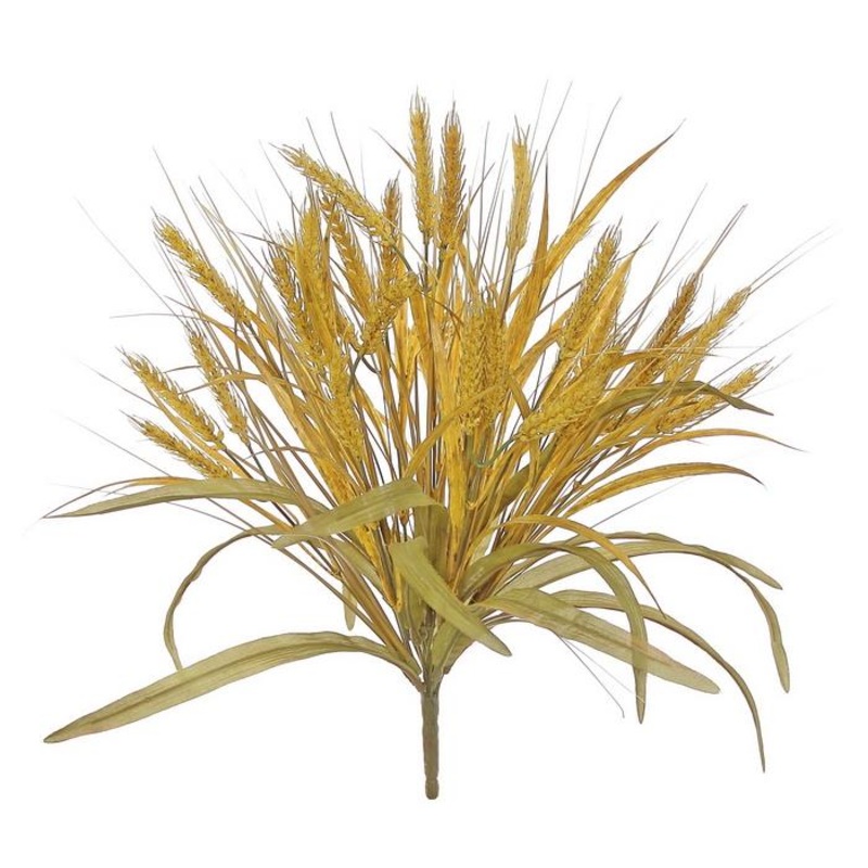 Gold Wheat Bush