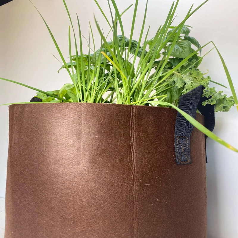 GrowBag Garden Lab – Pesto – REPLENISH Kit