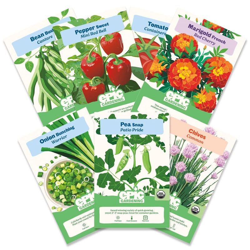 Beginner Patio Garden Bundle