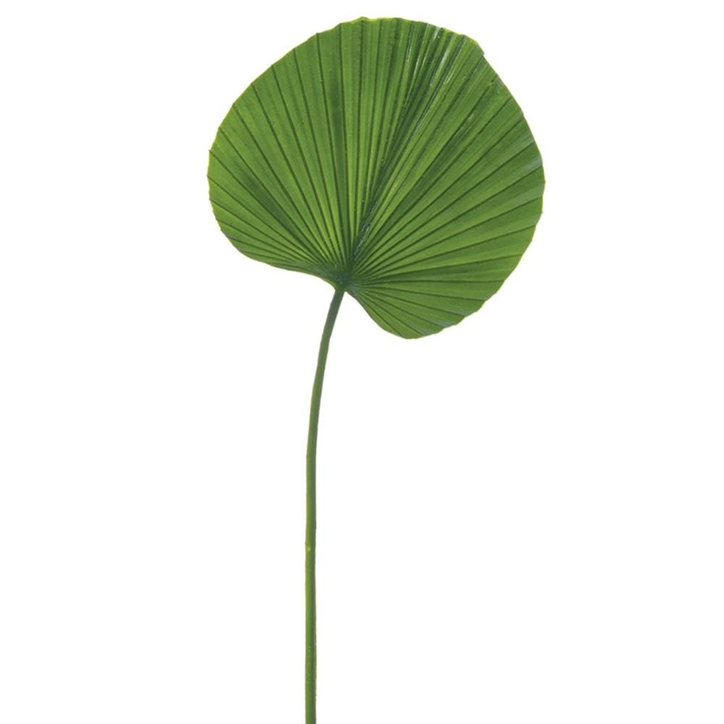 Fan Palm Leaf Spray