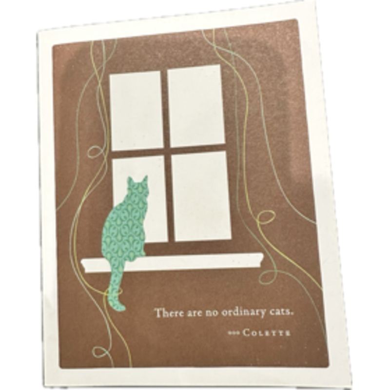 No ordinary cats – Pet Sympathy