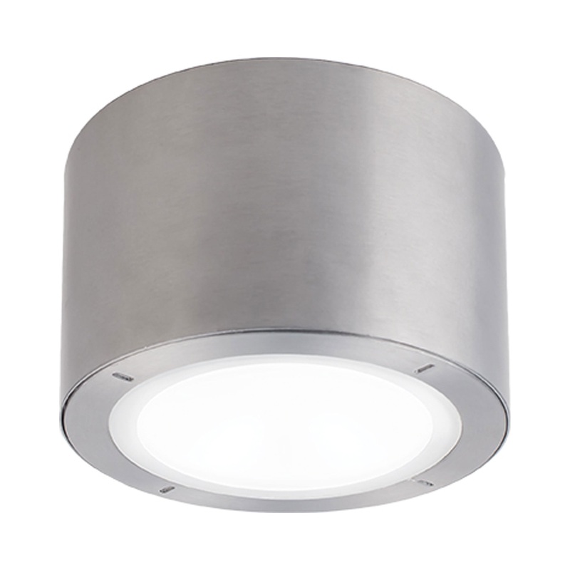 Vessel LED Flush Mount Ceiling Light