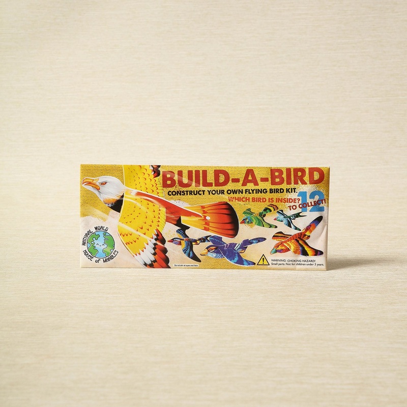 Build-a-Bird Kit