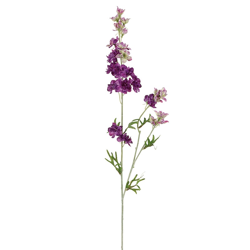 Larkspur Stem – Purple