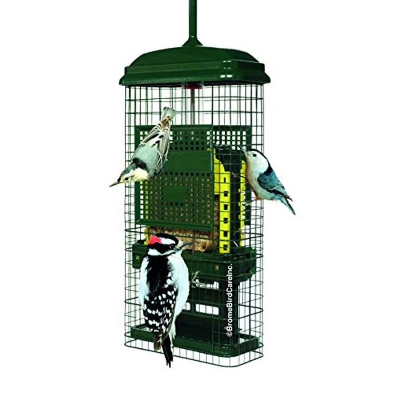Squirrel Buster Suet Squirrel-proof Suet Bird Feeder w/2 Suet Cake Trays, 2 Crumb Ports, Mess-free Suet Loading,Green