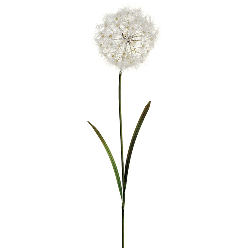 Dandelion Stem