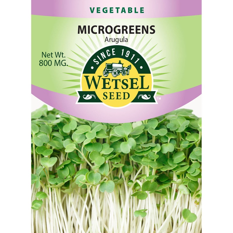 Wetsel Seed Microgreens Arugula Seed