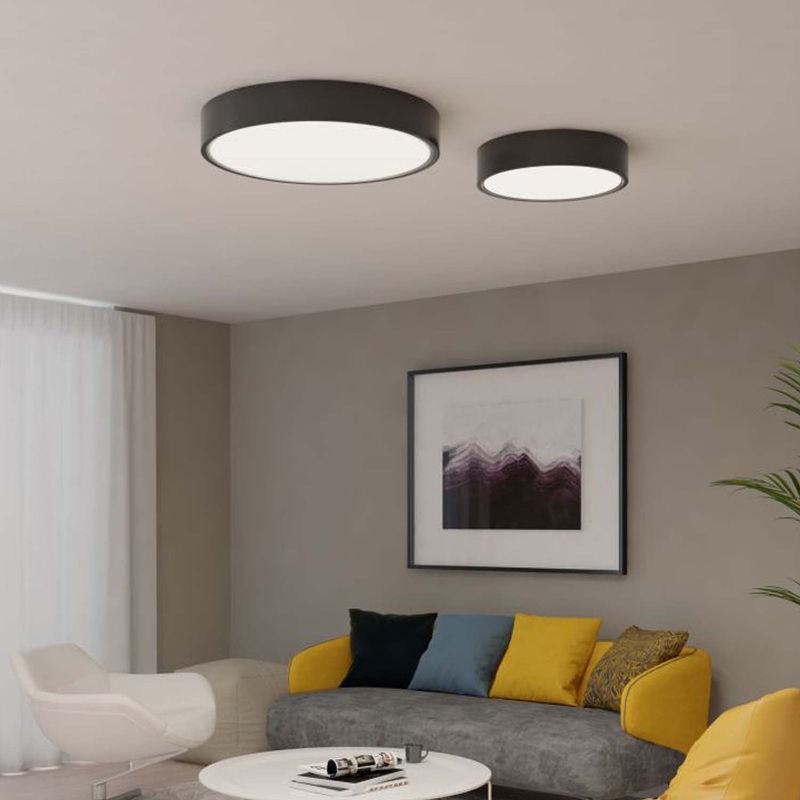 Beneito Faure Tot Pendant / Surface Lamp