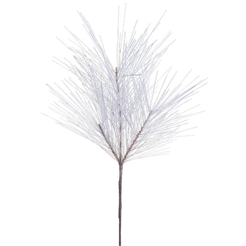 Long Needle Pine Branch – Snowy