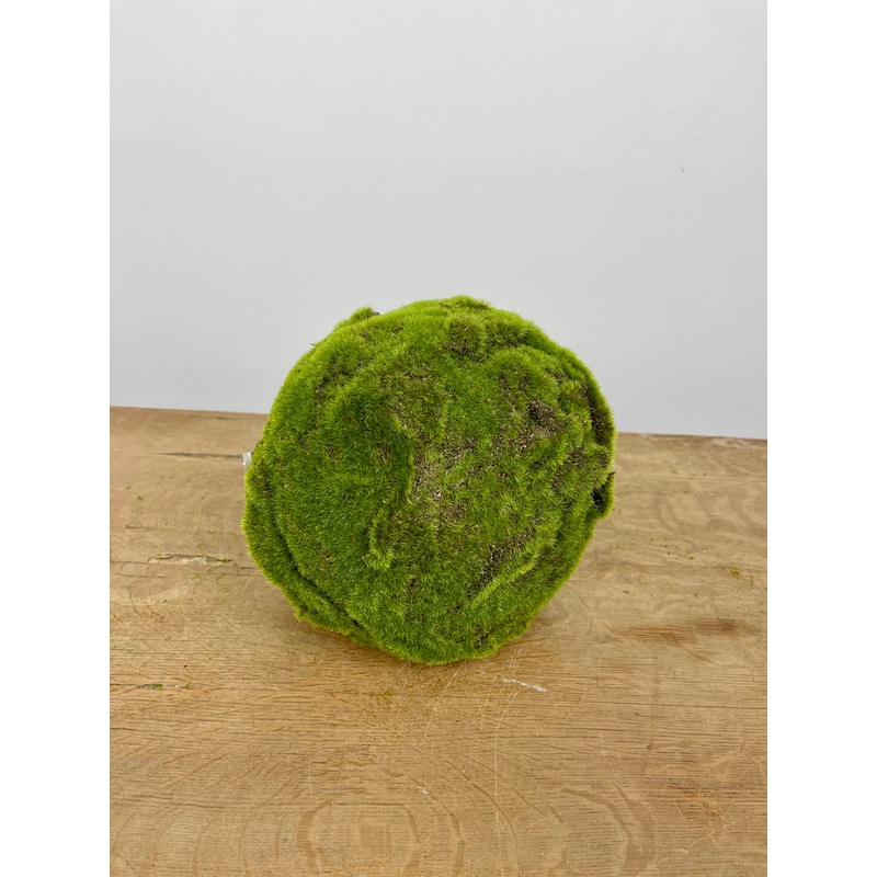 9″ Moss Orb
