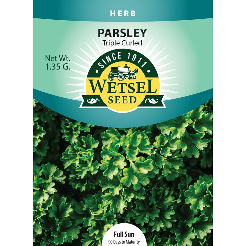 Wetsel Seed Parsley Triple Curled Seed