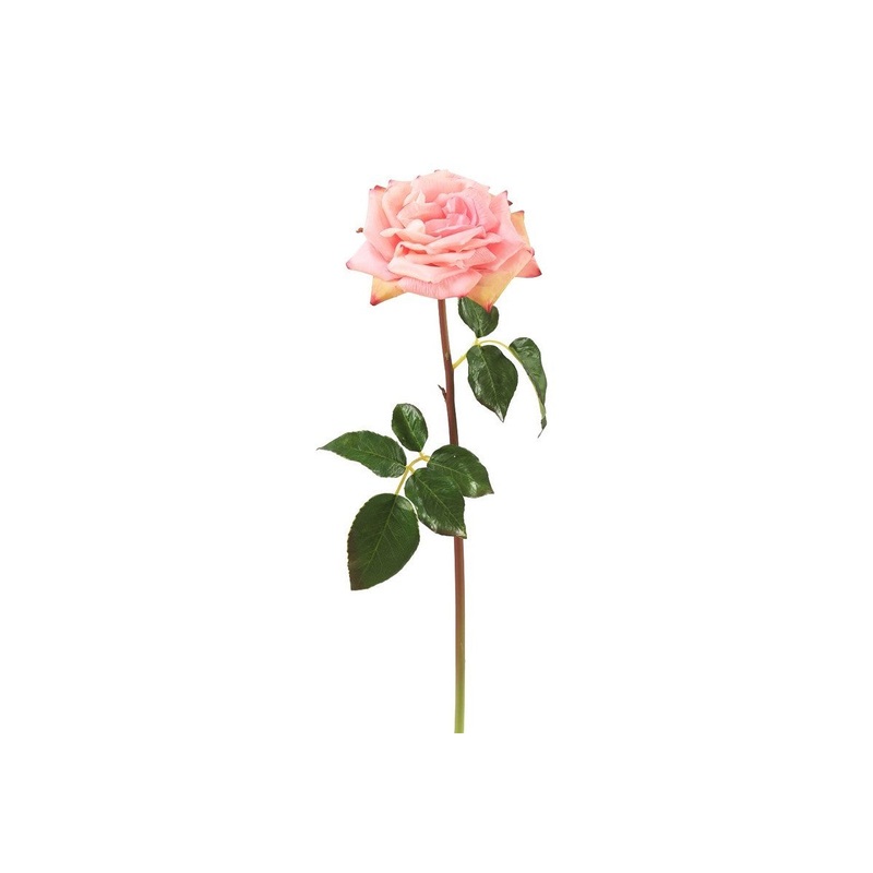 Open Rose – Pink