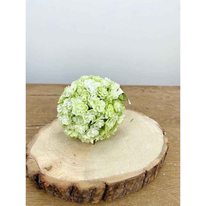 Light Green Chick Succulent Orb